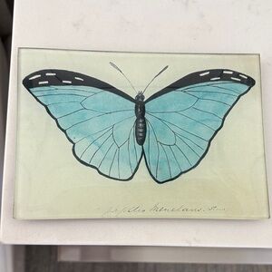 John Derian Blue Papilio (Butterfly)
4.5 X 6.5" MINI-TRAY